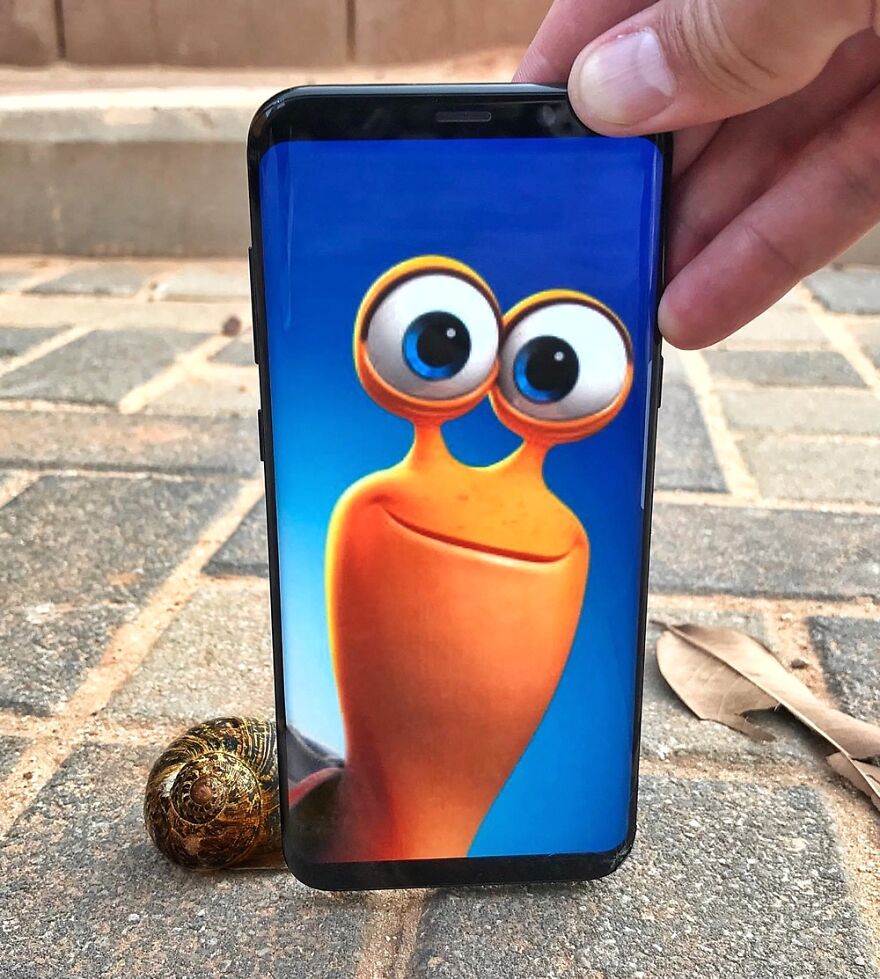 A combination of real-life scene with a pic on a smartphone