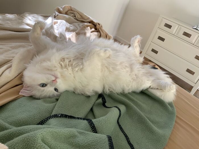 One Of Those Sleepy Days When You Can’t Get Out Of Bed…