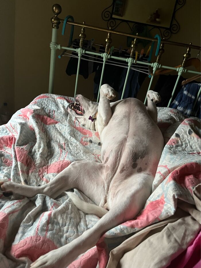 She Sleeps In The Best Positions