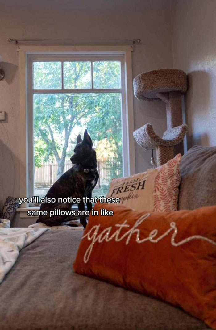 Woman Discovers That The Previous Owner Of Her House Was A Striving Instagram Influencer, Reminds Viewers How Deceitful Social Media Can Be Woman Discovers That The Previous Owner Of Her House Was A Striving Instagram Influencer, Reminds Viewers How Deceitful Social Media Can Be