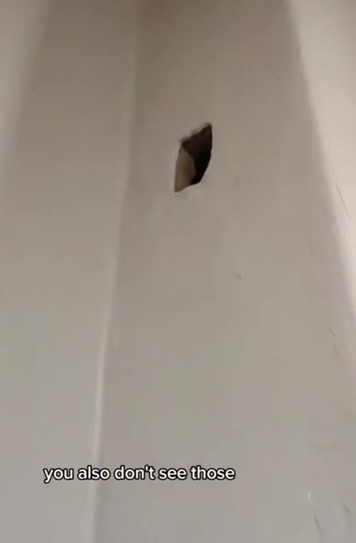 Woman Discovers That The Previous Owner Of Her House Was A Striving Instagram Influencer, Reminds Viewers How Deceitful Social Media Can Be Woman Discovers That The Previous Owner Of Her House Was A Striving Instagram Influencer, Reminds Viewers How Deceitful Social Media Can Be