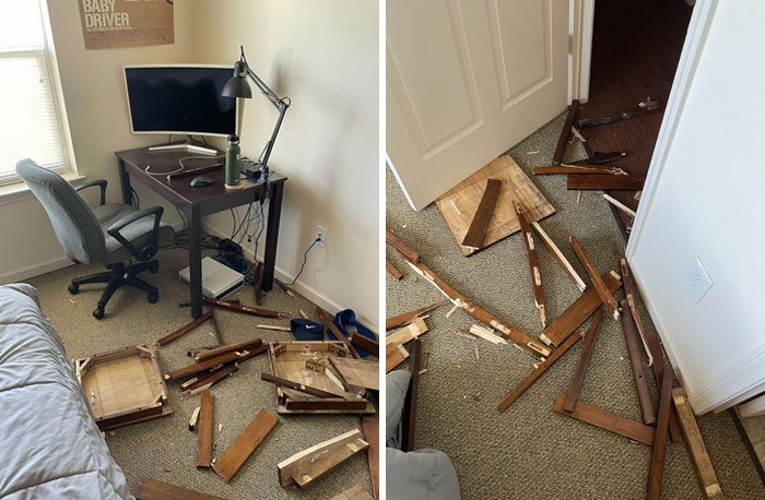 Came Back To My College Apartment This Morning With My Roommates Having Done This