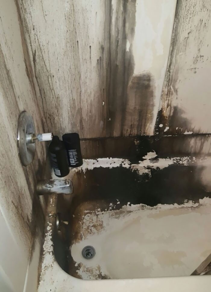 My Roommate's Bathroom