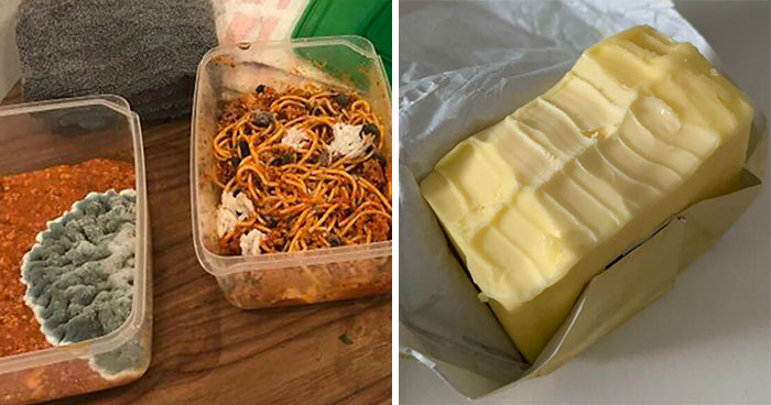 50 Times People Realized They’re Living With A ‘Monster’ And Just Had To Share The Evidence