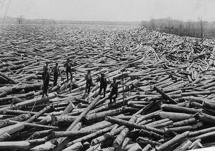Log Driving In Glens Falls, New York, 1907