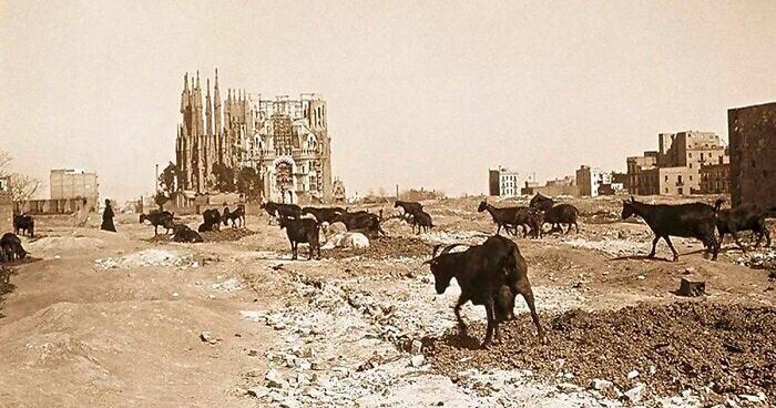 50 Important Historical Images That Might Change Your Perspective On Things, As Shared By This Facebook Page