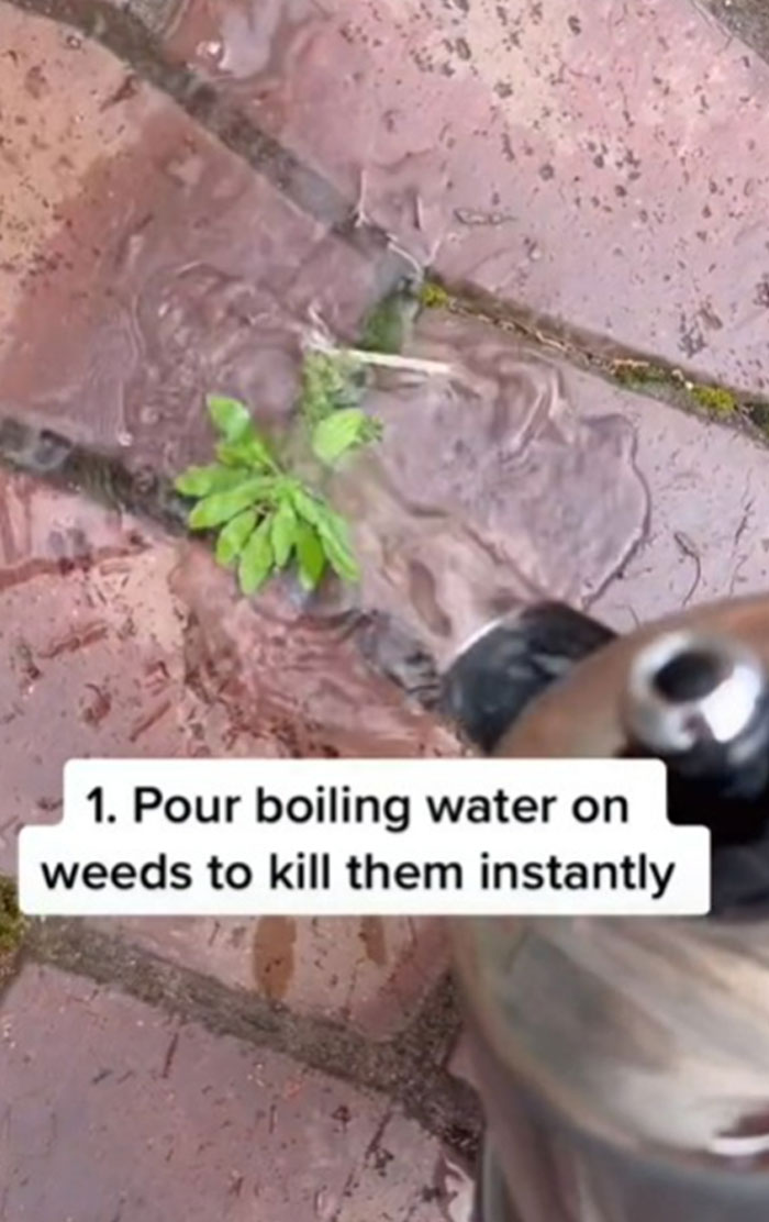 Lifehacks-Home-Tips-Mamamila