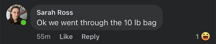 Potatoes For Trick-Or-Treaters Become An Instant Hit In This Neighborhood, People Chime In With The Weirdest Halloween Treats They've Seen