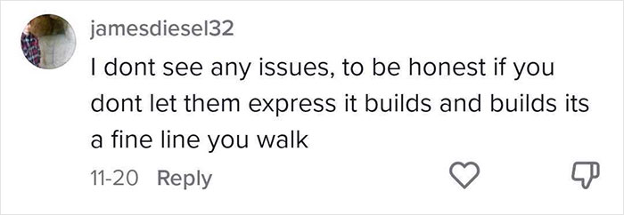 Mom Teaches Her 7 Y.O. The Context Of Swear Words And Allows Her To Use Them At Home
