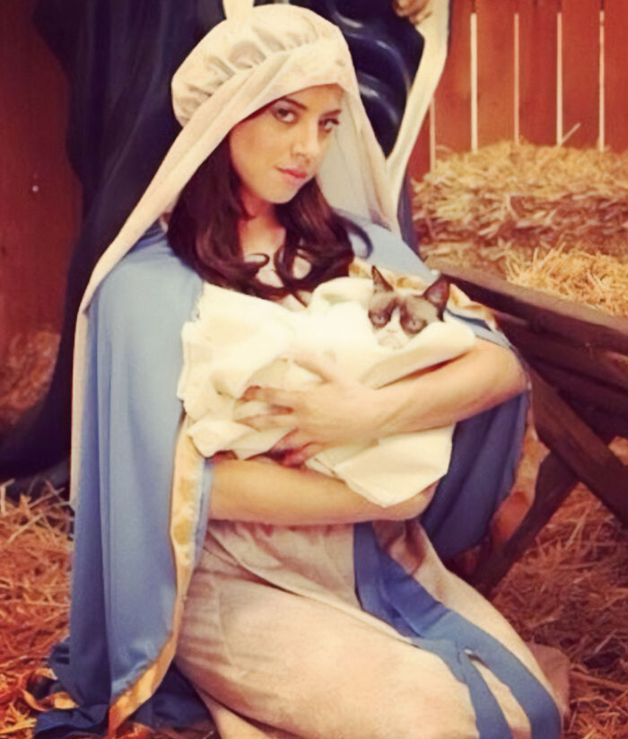 Aubrey Plaza Holding Grumpy Cat