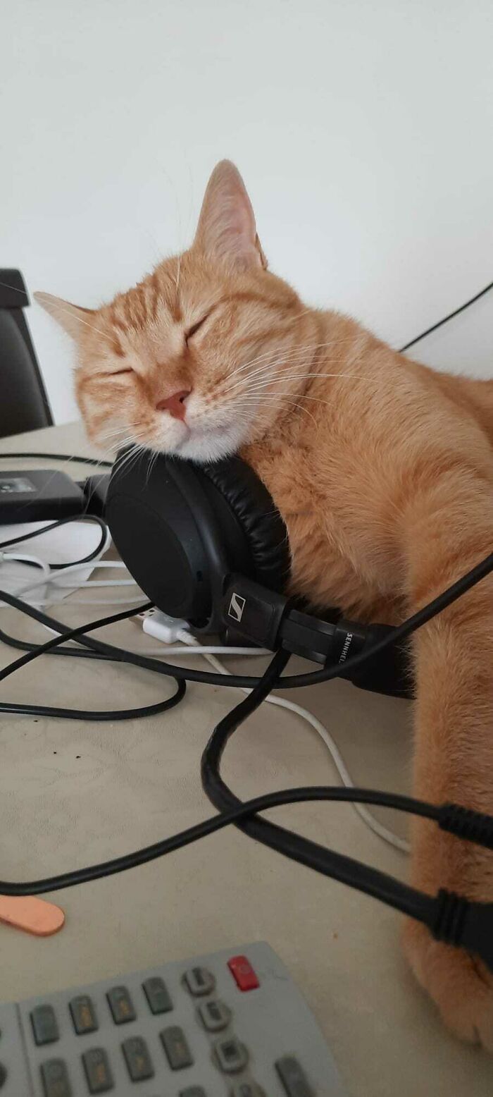 Can't Sleep Without Music :)