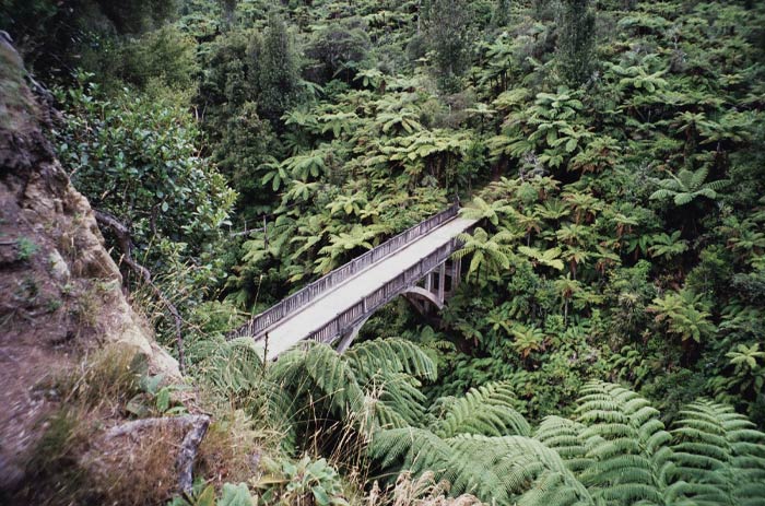Bridge to Nowhere in Whanganui with forest near