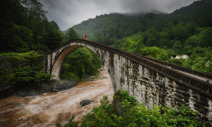 Çifte bridge with forest