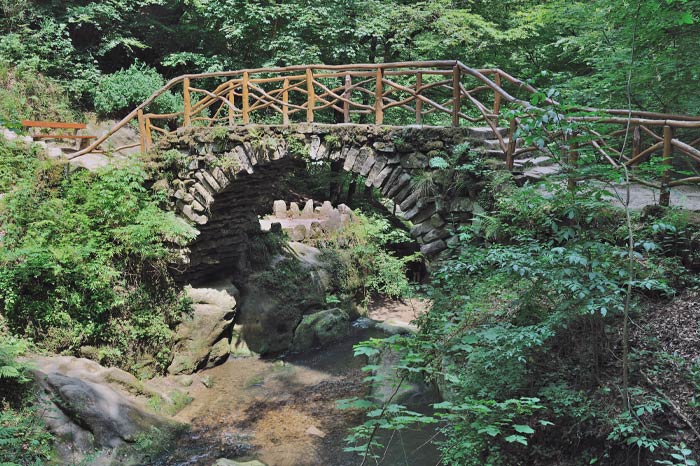 Mullerthal bridge with nature