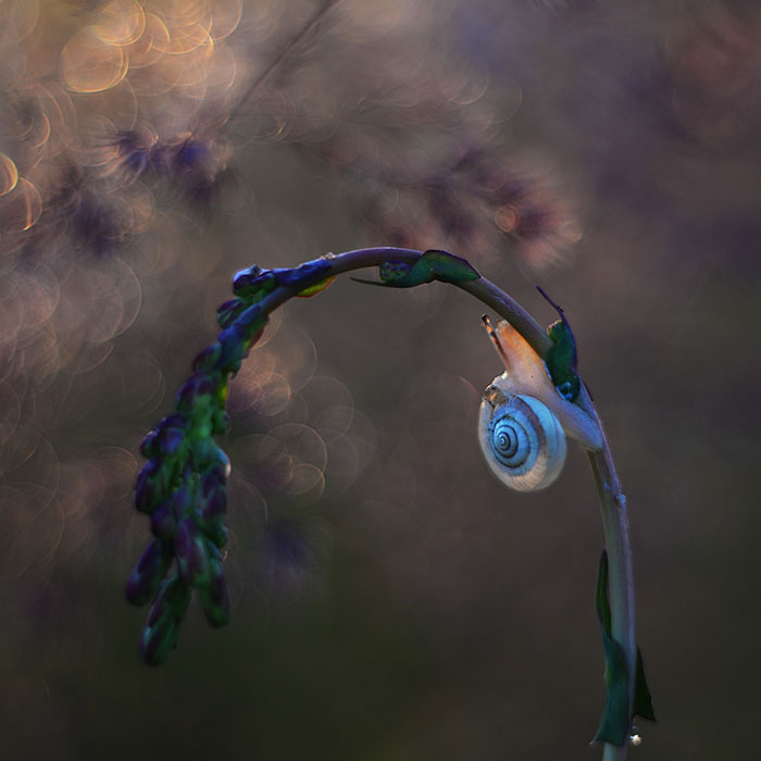 Nature In Spring, Summer, And Autumn: My 35 Photos By Me