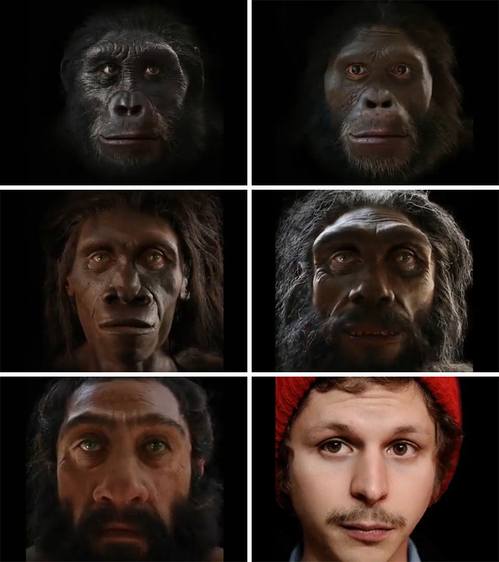 Our Face From Our Recent Ancestors To Us