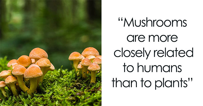 “Today I Learned”: 40 Interesting Things People Didn’t Learn In School (New Pics)