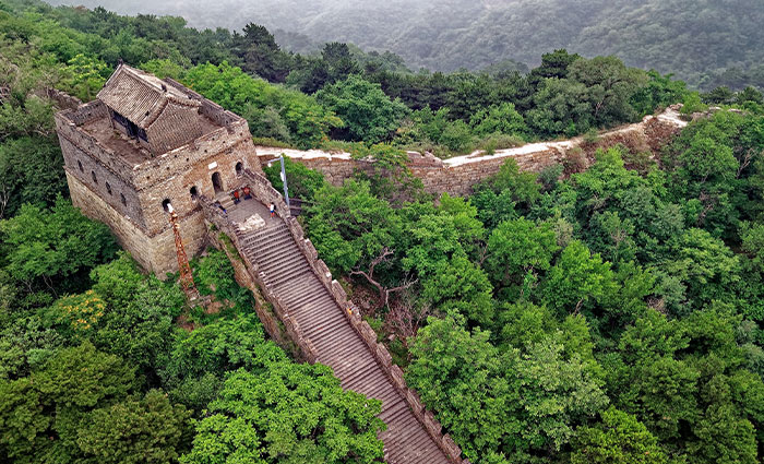 "Today I Learned": 40 Interesting Things People Didn't Learn In School (New Pics)