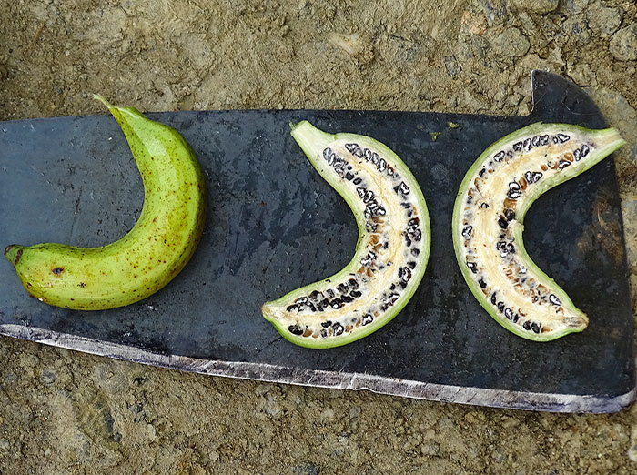 "Today I Learned": 40 Interesting Things People Didn't Learn In School (New Pics)