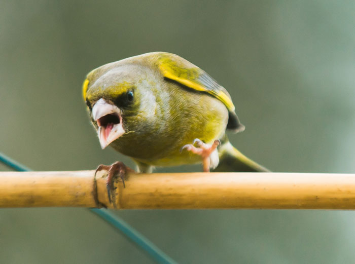 Leave The Past In The Past