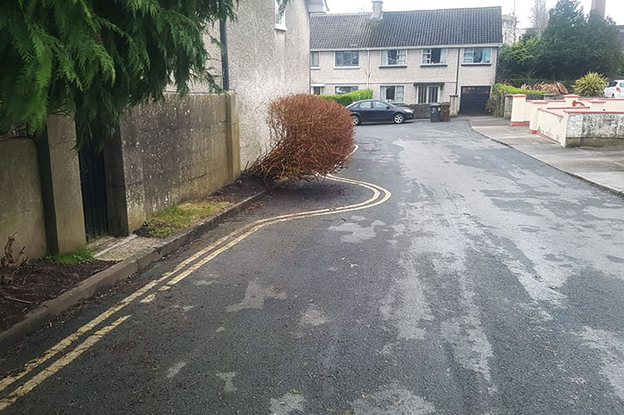 Ain’t My Job To Cut The Trees. I Paint The Lines