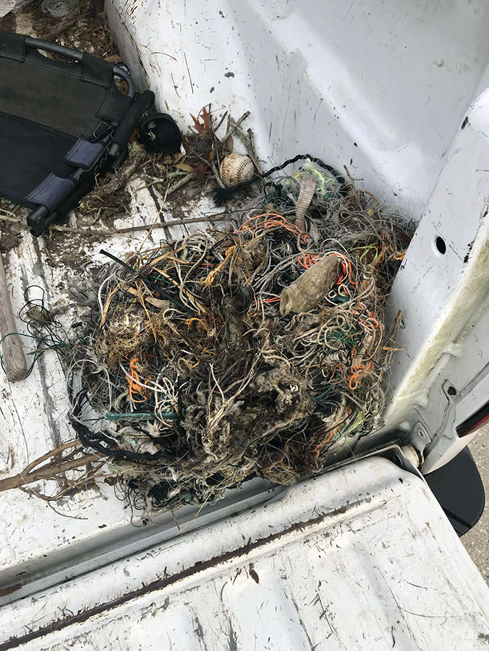 People Who Are Too Lazy To Remove Their Strings After Fishing Or Crabbing. So Many Animals Get Trapped In This And Die