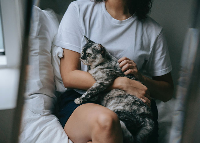 40 People Share The Non-Negotiable Rules They Have In Their Homes, And Some Are Very Strange