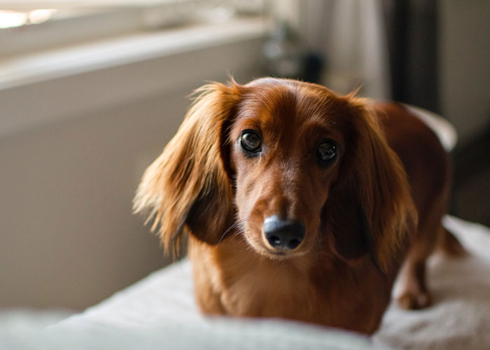 40 People Share The Non-Negotiable Rules They Have In Their Homes, And Some Are Very Strange