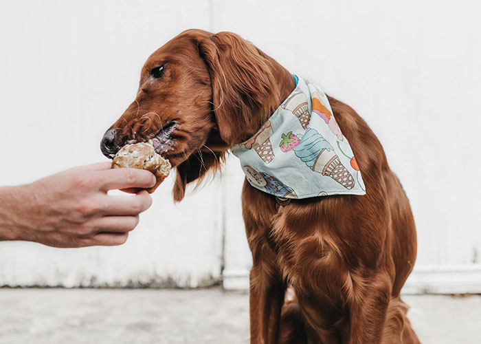 40 People Share The Non-Negotiable Rules They Have In Their Homes, And Some Are Very Strange