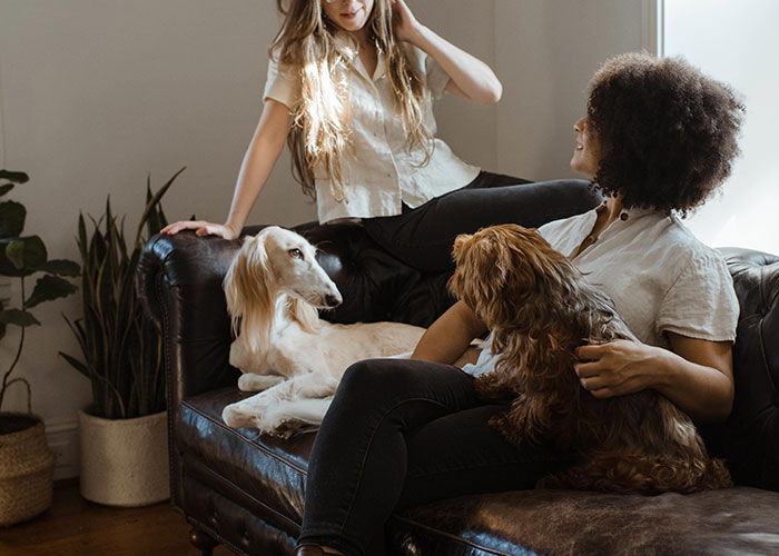 40 People Share The Non-Negotiable Rules They Have In Their Homes, And Some Are Very Strange