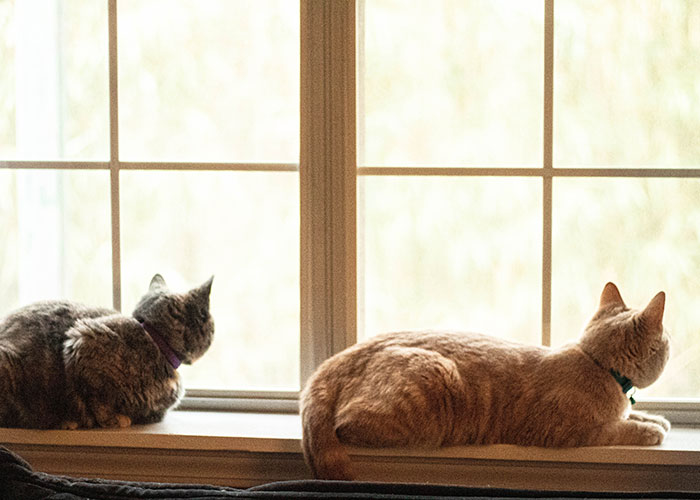 40 People Share The Non-Negotiable Rules They Have In Their Homes, And Some Are Very Strange