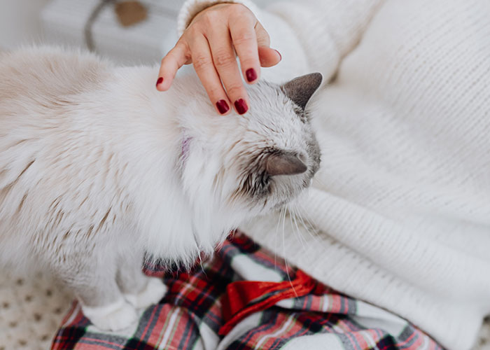 40 People Share The Non-Negotiable Rules They Have In Their Homes, And Some Are Very Strange