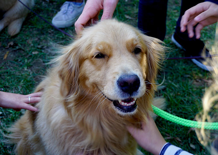 40 People Share The Non-Negotiable Rules They Have In Their Homes, And Some Are Very Strange