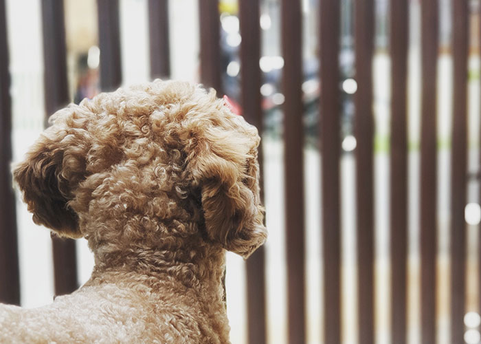 40 People Share The Non-Negotiable Rules They Have In Their Homes, And Some Are Very Strange