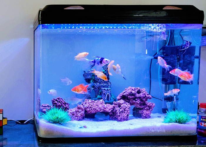 40 People Share The Non-Negotiable Rules They Have In Their Homes, And Some Are Very Strange