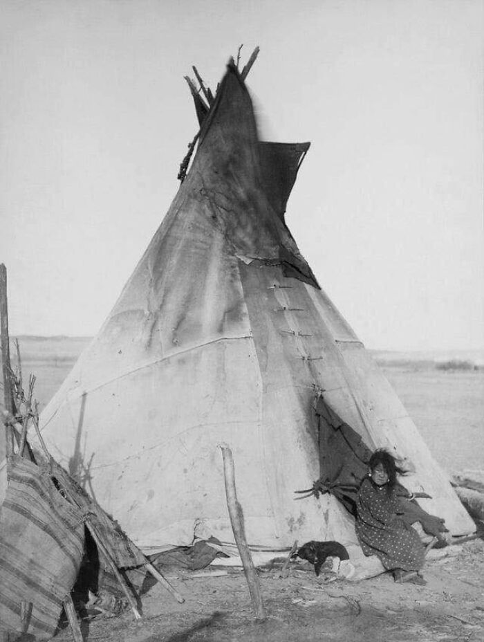 Oglala Girl With Her Puppy Sitting In Front Of A Tipi, Pine Ridge Reservation, 1891