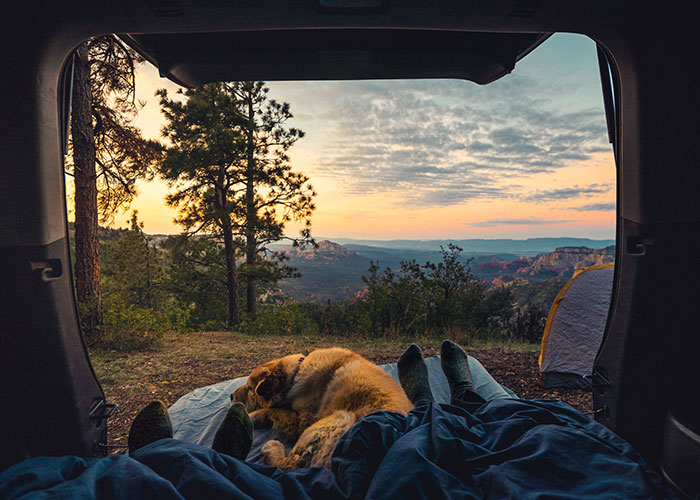 Someone Asks Childfree People Over 40 How They Feel About Not Having Kids, Gets 30 Honest Answers