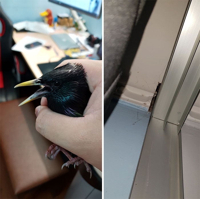 25 Personas que vivieron situaciones "únicas entre un millón" comparten sus fascinantes historias