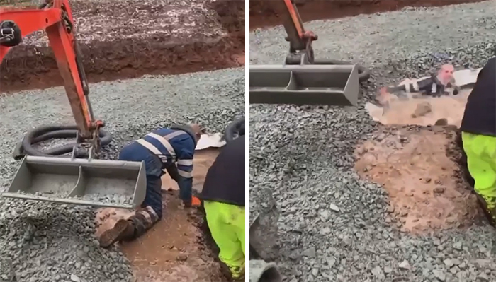 Workers ignoring OSHA safety regulations, using a digger to lift gravel in a trench.