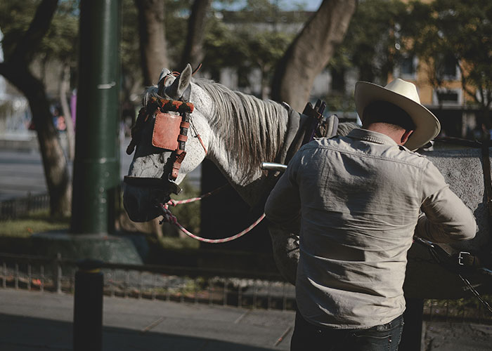 30 Surprising, Unsettling, And Sweet Moments Captured On Nanny Cams, As Shared In This Online Group