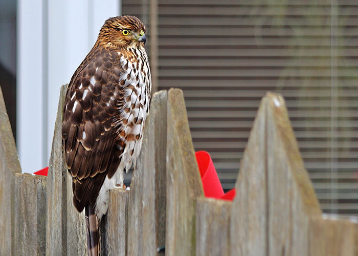 30 Surprising, Unsettling, And Sweet Moments Captured On Nanny Cams, As Shared In This Online Group