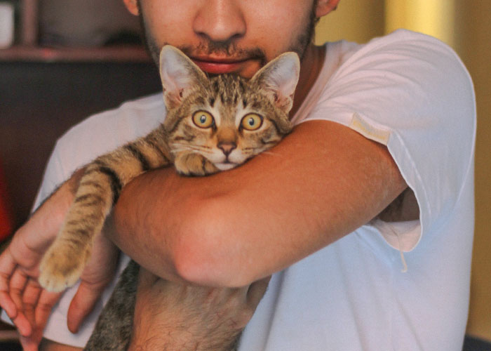 30 Surprising, Unsettling, And Sweet Moments Captured On Nanny Cams, As Shared In This Online Group