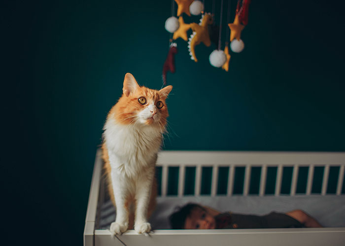 30 Surprising, Unsettling, And Sweet Moments Captured On Nanny Cams, As Shared In This Online Group