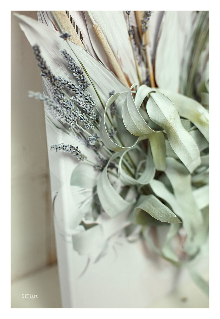 A Fellow Florist And I, The Photographer, Made 11 Portraits Of Months Using Live Flowers To Highlight The Genuineness Of Each Season