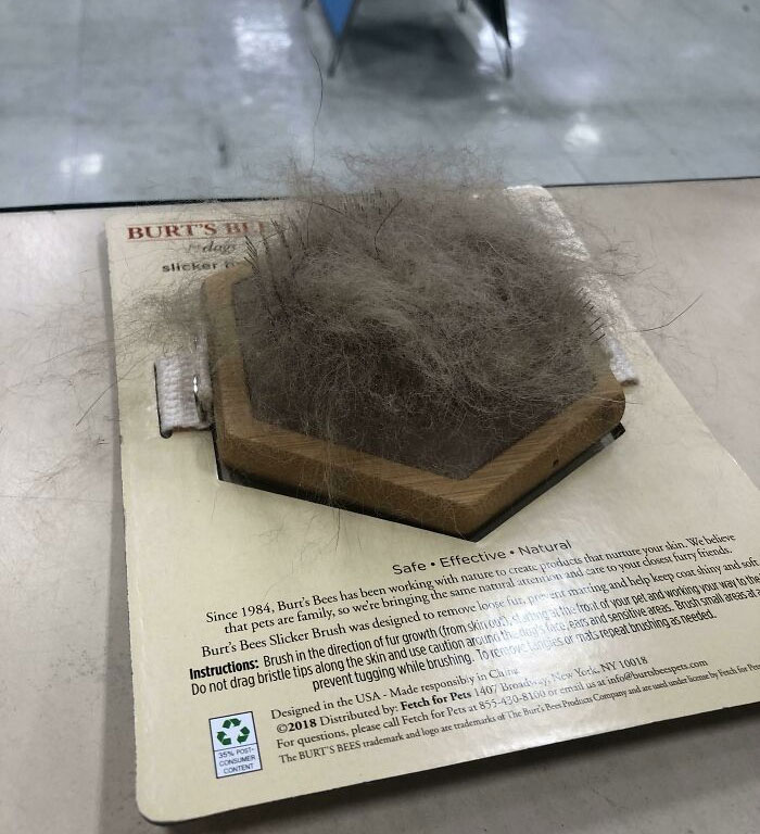 I Work At A Pet Store. Some Jerk Used A Brush For Sale To Brush His Dog, And Then Just Put It Back. Dude