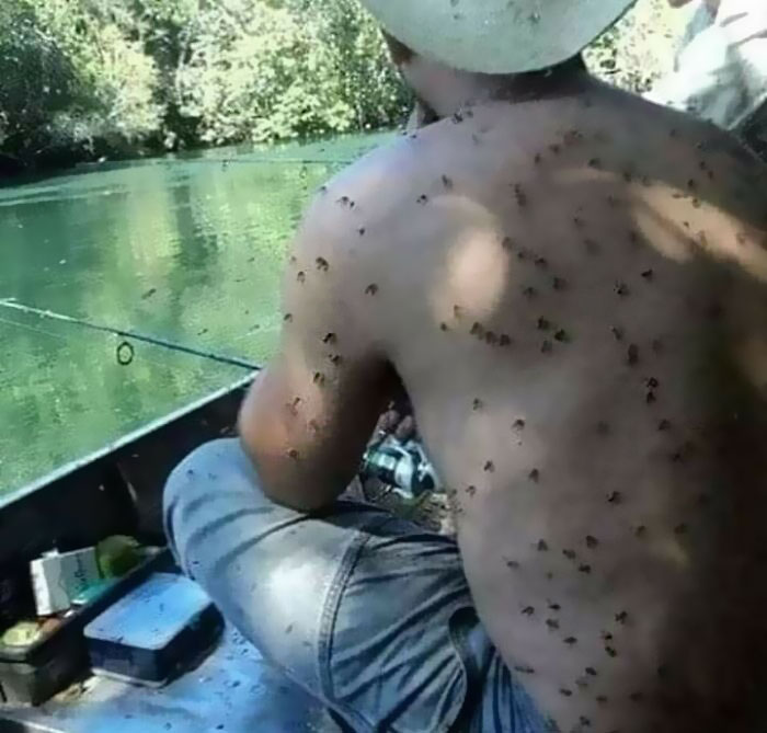 Dude Making Some Blood Donations (Blood Type No!!!!)
