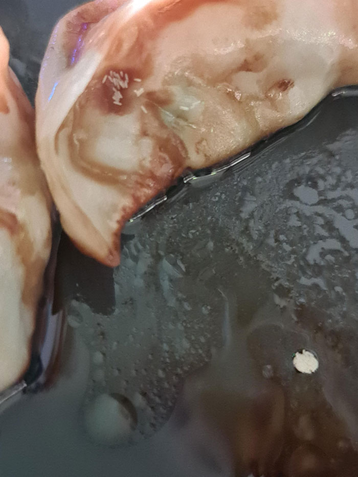 Looked Away For A Minute And A Fly Laid Eggs On My Gyoza