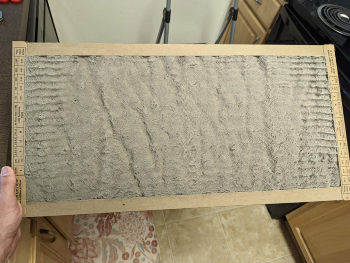 My Girlfriend Never Changed Her Air Filter In The Entire Two Years She's Lived In Her Apartment. This Is The Atrocity I Pulled Out
