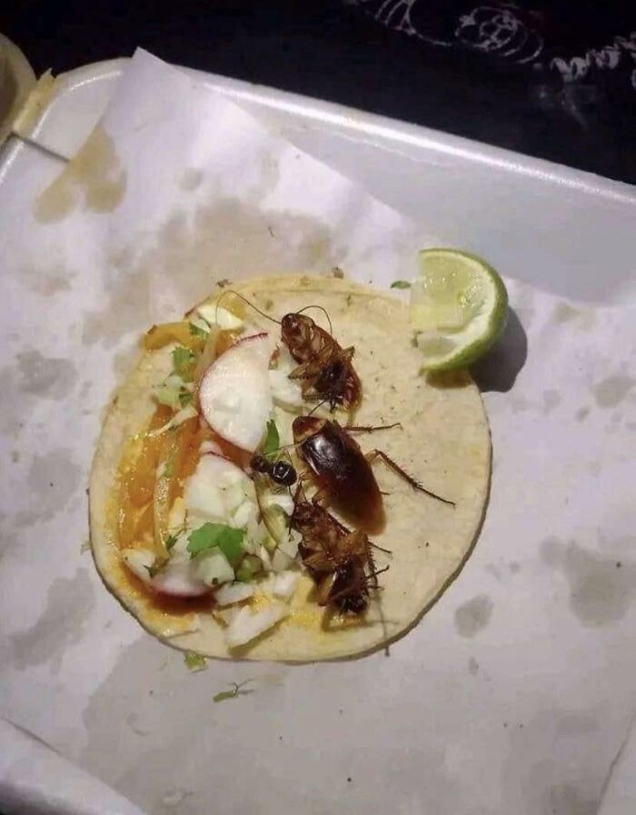 Mmmm, Fresh Tacos