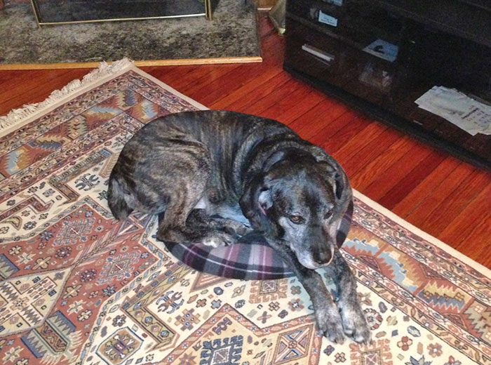 Finally, I Get My Revenge